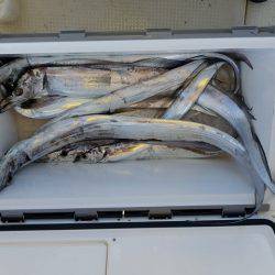 遊漁船 ニライカナイ 釣果