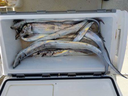 遊漁船 ニライカナイ 釣果