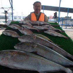 カタタのつり堀 釣果