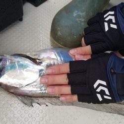 遊漁船 ニライカナイ 釣果