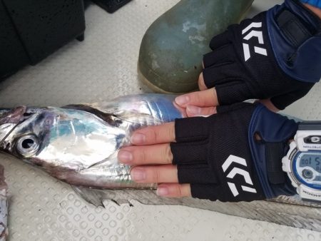 遊漁船 ニライカナイ 釣果