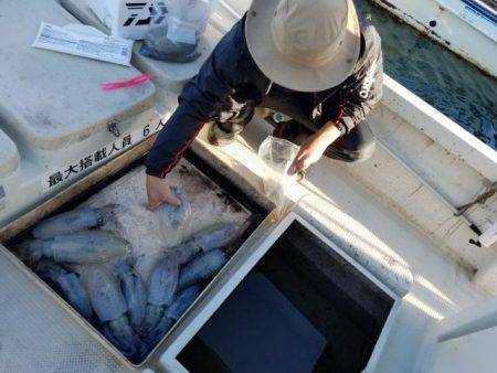 Magic(マジック) 釣果