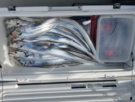 遊漁船　ニライカナイ 釣果