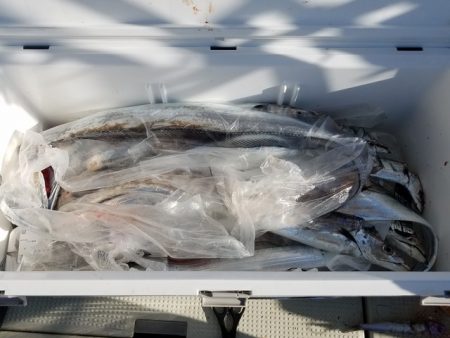 遊漁船 ニライカナイ 釣果