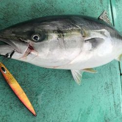 広進丸 釣果