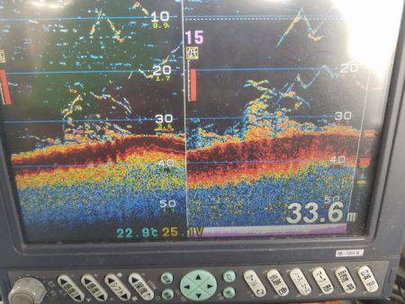 遊漁船 ニライカナイ 釣果