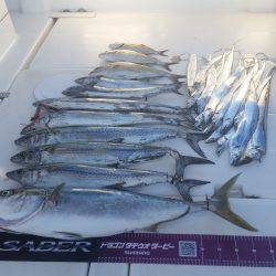 暁〜akatsuki〜 釣果