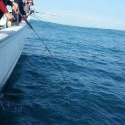 第五慶門丸 釣果