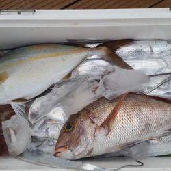 暁〜akatsuki〜 釣果