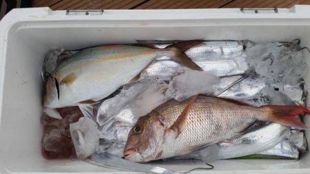 暁〜akatsuki〜 釣果