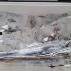 暁〜akatsuki〜 釣果