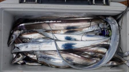 暁〜akatsuki〜 釣果