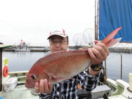 大進丸（新潟） 釣果