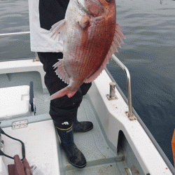 遊漁船ブルーウッズ 釣果