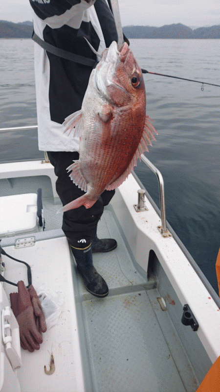 遊漁船ブルーウッズ 釣果