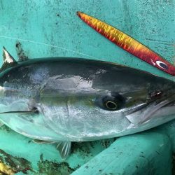 広進丸 釣果
