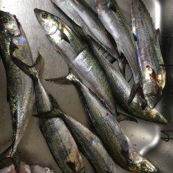 ショアジギング