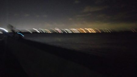 風が強かったですが、牙族は居ました