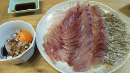 台風後の武庫一調査結果は