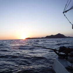 オーシャンパイオニア 釣果