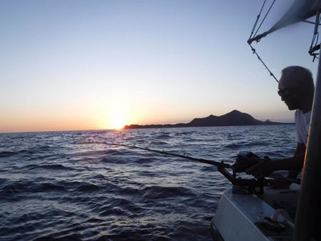 オーシャンパイオニア 釣果