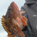 フィッシング太陽 釣果