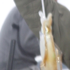 フィッシング太陽 釣果