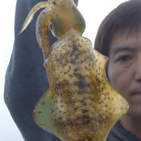 フィッシング太陽 釣果