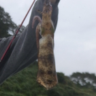 フィッシング太陽 釣果