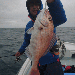 遊漁船ブルーウッズ 釣果