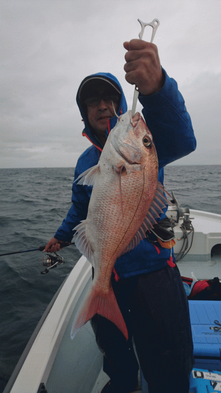 遊漁船ブルーウッズ 釣果