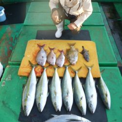 真祐丸 （しんゆうまる） 釣果