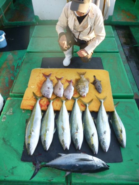真祐丸 （しんゆうまる） 釣果