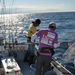 八海丸 釣果