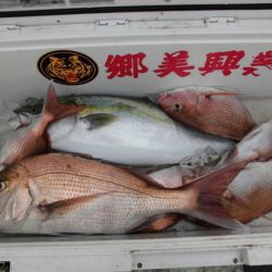 大進丸(新潟) 釣果