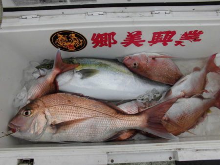 大進丸(新潟) 釣果