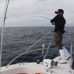 ＢｌｕｅＮｏｔｅ　Ｆｉｓｈｉｎｇ　Ｔａｘｉ 釣果