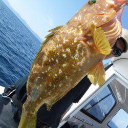 BlueNote Fishing Taxi 釣果