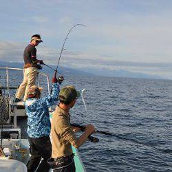 八海丸 釣果
