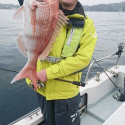 遊漁船ブルーウッズ 釣果