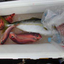 大進丸(新潟) 釣果