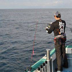 八海丸 釣果