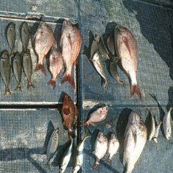 フィッシングガイド りょう 釣果