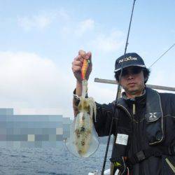 遊漁船 幸友丸 釣果