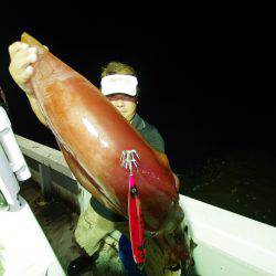 オーシャンズ　京都 釣果