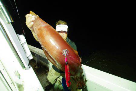 オーシャンズ　京都 釣果