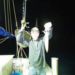 オーシャンズ　京都 釣果