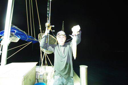 オーシャンズ　京都 釣果