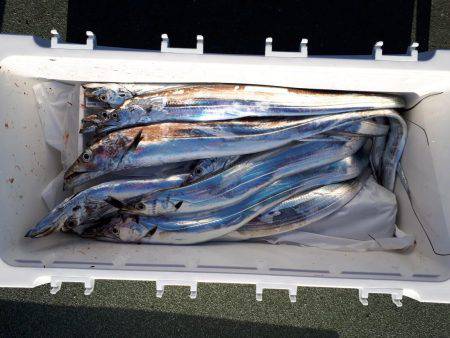 釣り船くわだ 釣果