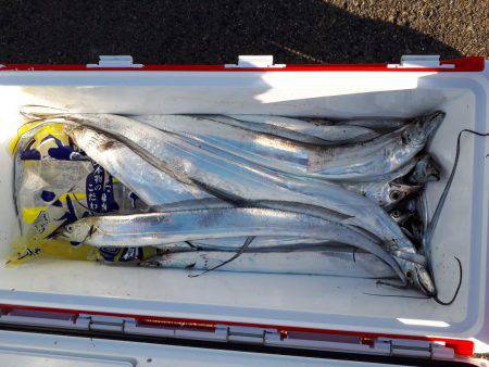 釣り船くわだ 釣果